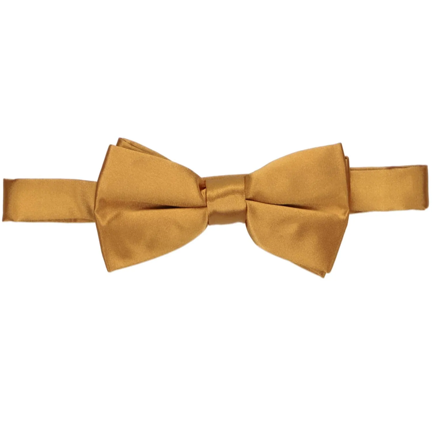 Antique Gold Band Collar Bow Tie