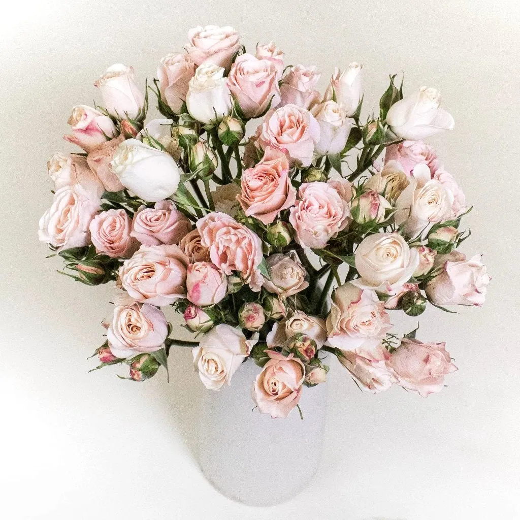 Bali Peach Spray Roses