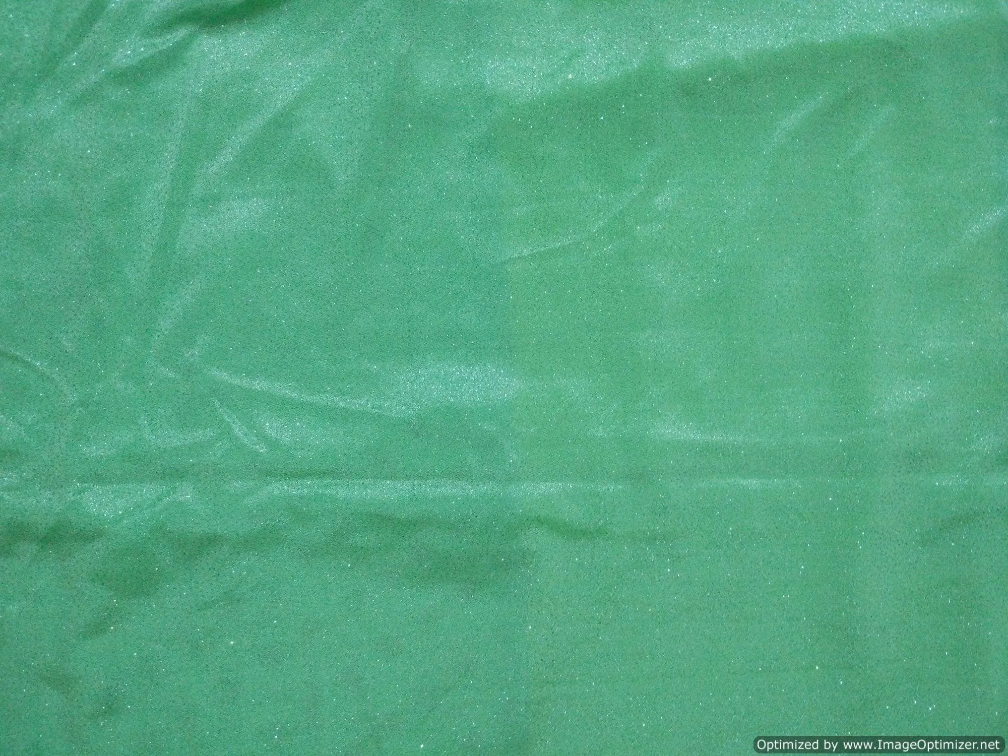 Designer Zari Border Green Silk Chiffon Saree SP06