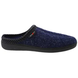 Haflinger At Speckle Blue Speckle 43
