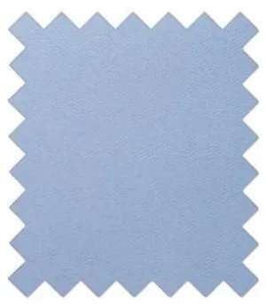 Light Steel Blue Wedding Swatch