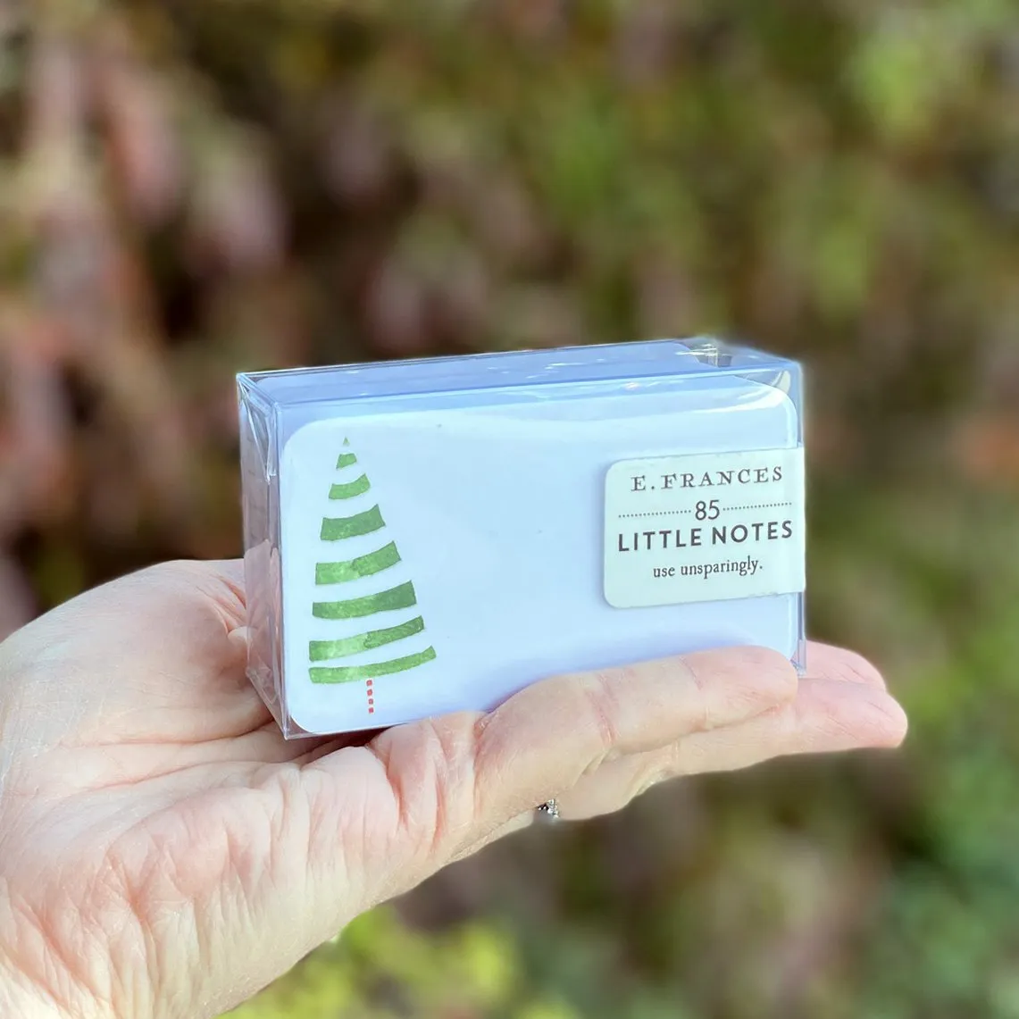 Little Notes Notecards - Holiday Styles