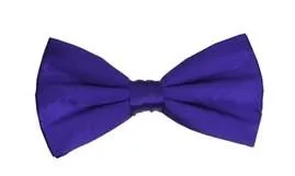 Purple Silk Self Tie Bow Ties